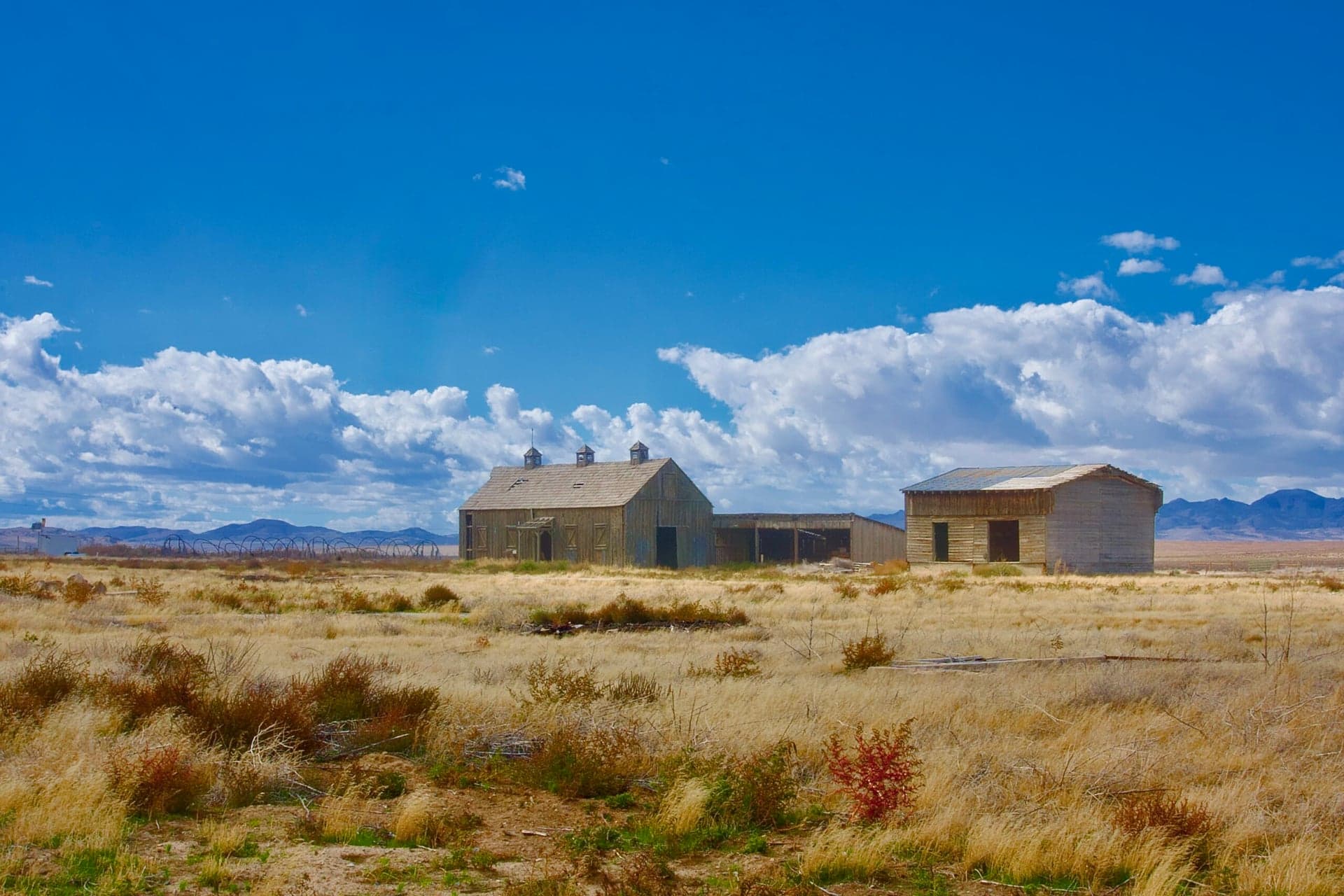 Barn landscape